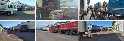 Ministério da Cidadania do Governo Federal e BANCO DE ALIMENTOS repassam 500 toneladas de alimentos no Estado 